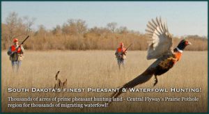 Pheasant Hunting in South Dakota