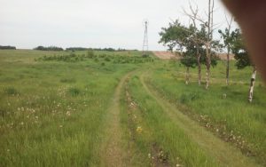 June 2017 Looking West up the pathway to the Dick & Hulda Humbke farm at Haultain, Wetaskiwin, AB